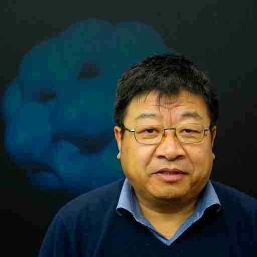 Profile image of Professor Huaizhong Zhao