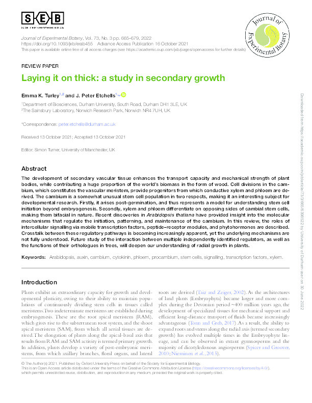 Laying it on thick: A study in secondary growth Thumbnail