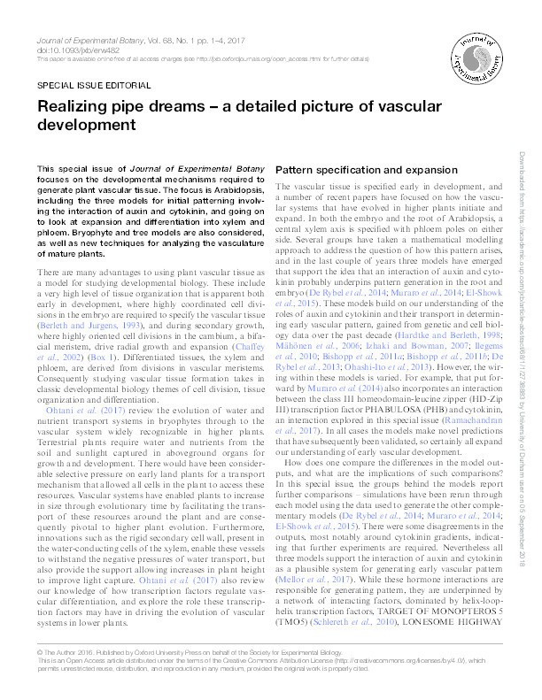 Realizing pipe dreams – a detailed picture of vascular development Thumbnail