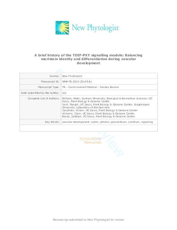 A brief history of the TDIF-PXY signalling module: balancing meristem identity and differentiation during vascular development Thumbnail