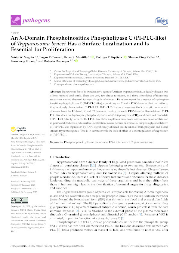 An X-Domain Phosphoinositide Phospholipase C (PI-PLC-like) of Trypanosoma brucei Has a Surface Localization and Is Essential for Proliferation Thumbnail