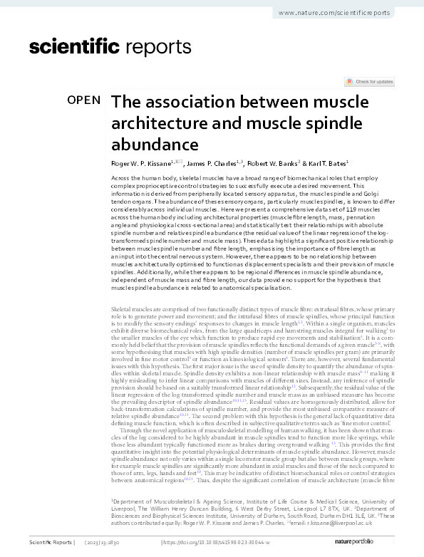 The association between muscle architecture and muscle spindle abundance Thumbnail