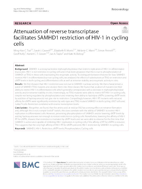 Attenuation of reverse transcriptase facilitates SAMHD1 restriction of HIV-1 in cycling cells Thumbnail