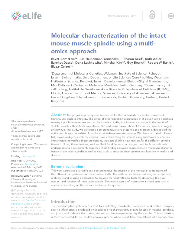 Molecular characterization of the intact mouse muscle spindle using a multi-omics approach Thumbnail