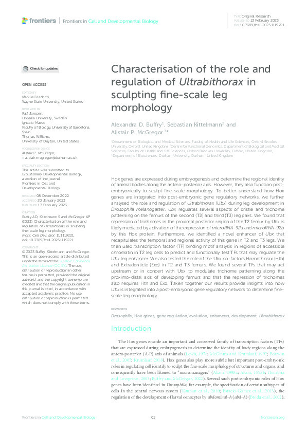 Characterisation of the role and regulation of Ultrabithorax in sculpting fine-scale leg morphology Thumbnail