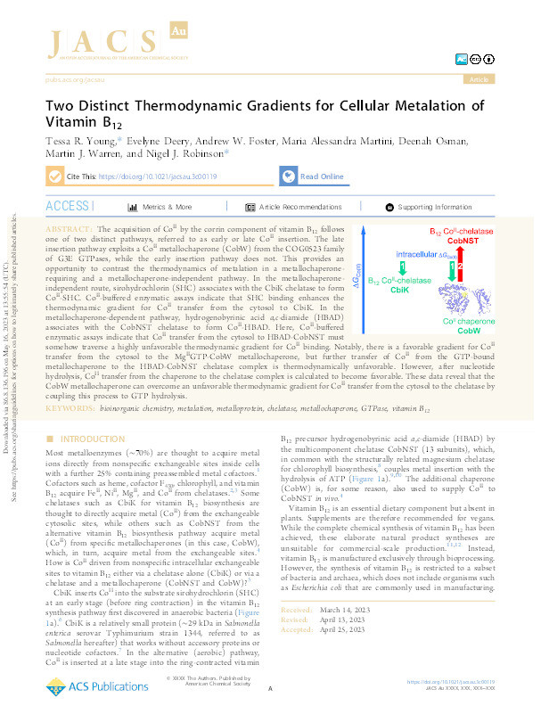Two Distinct Thermodynamic Gradients for Cellular Metalation of Vitamin B12 Thumbnail