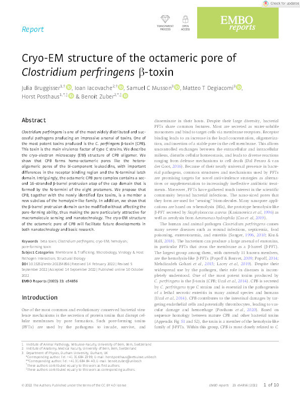 Cryo‐EM structure of the octameric pore of Clostridium perfringens β‐toxin Thumbnail