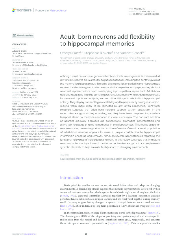 Adult-born neurons add flexibility to hippocampal memories Thumbnail