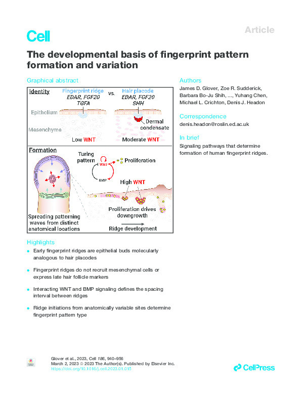 The developmental basis of fingerprint pattern formation and variation Thumbnail