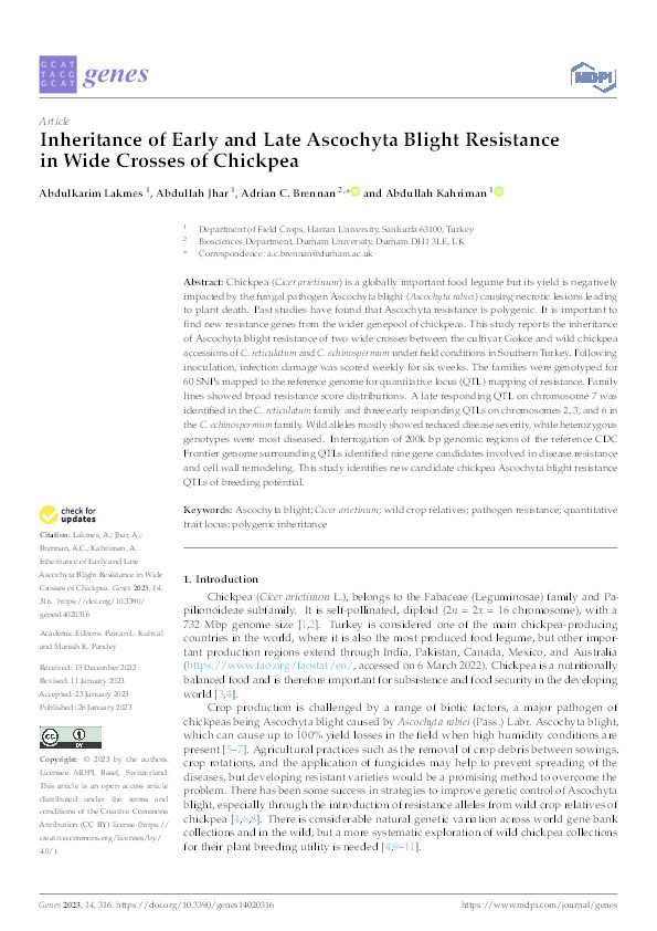 Inheritance of early and late Ascochyta blight resistance in wide crosses of chickpea Thumbnail