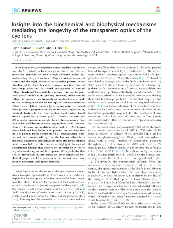 Insights into the biochemical and biophysical mechanisms mediating the longevity of the transparent optics of the eye lens Thumbnail