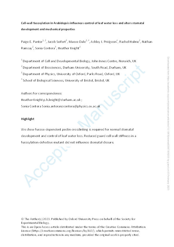 Cell-wall fucosylation in Arabidopsis influences control of leaf water loss and alters stomatal development and mechanical properties Thumbnail