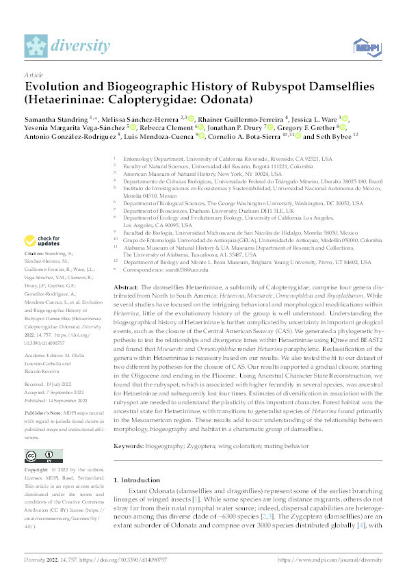 Evolution and Biogeographic History of Rubyspot Damselflies (Hetaerininae: Calopterygidae: Odonata) Thumbnail
