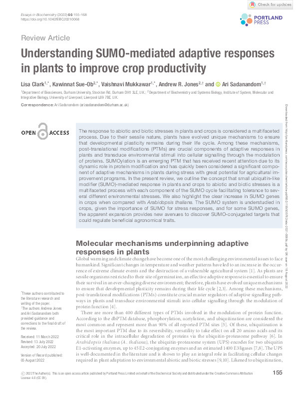 Understanding SUMO-mediated adaptive responses in plants to improve crop productivity Thumbnail