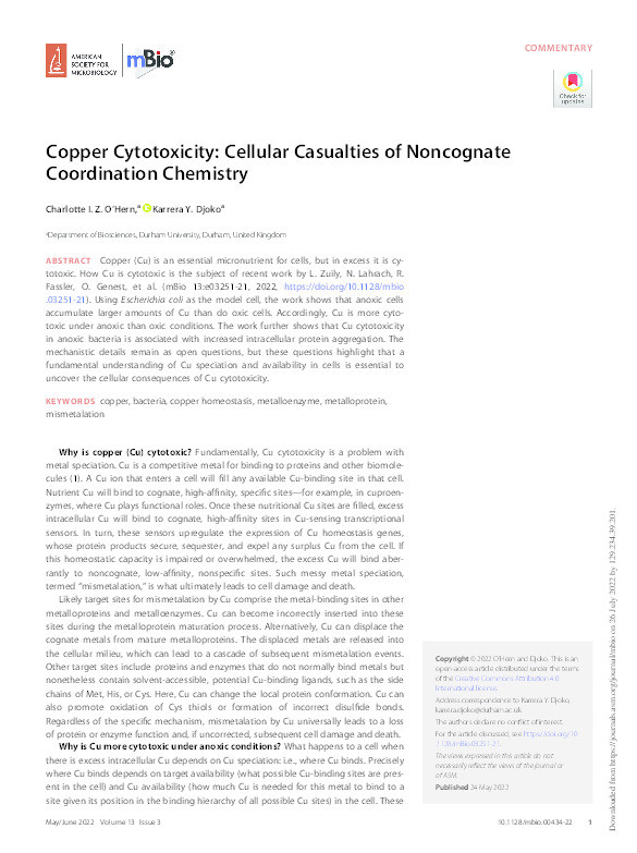 Copper Cytotoxicity: Cellular Casualties of Noncognate Coordination Chemistry Thumbnail