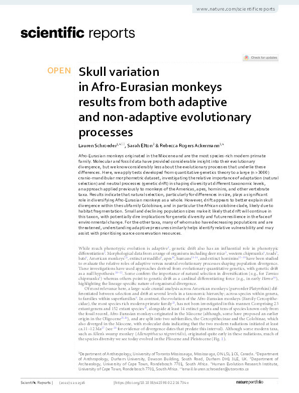 Skull variation in Afro-Eurasian monkeys results from both adaptive and non-adaptive evolutionary processes Thumbnail
