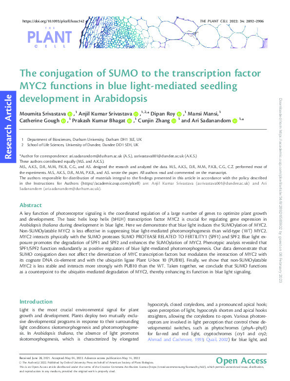 The conjugation of SUMO to the transcription factor MYC2 functions in blue light-mediated seedling development in Arabidopsis Thumbnail