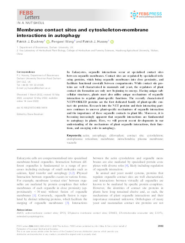 Membrane contact sites and cytoskeleton-membrane interactions in autophagy Thumbnail