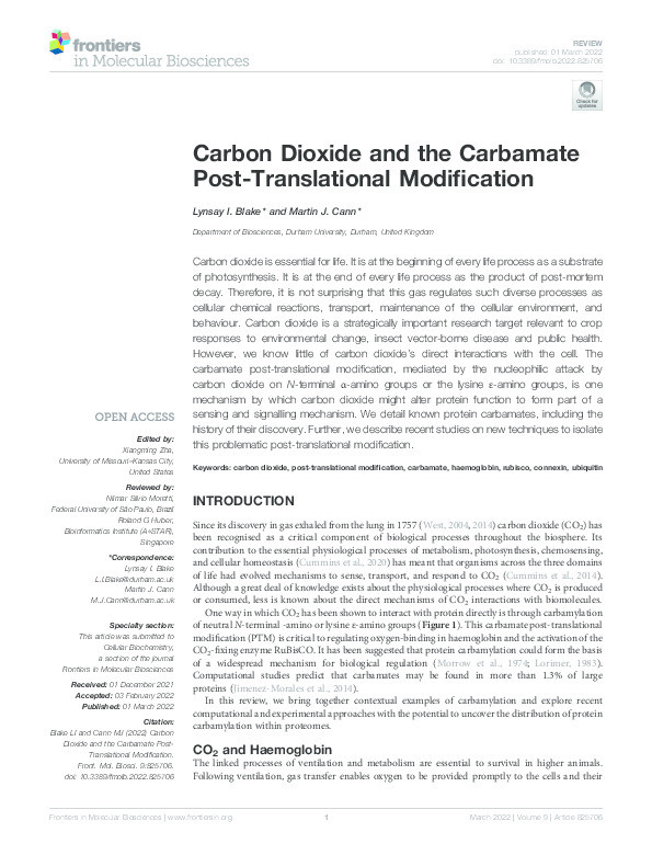 Carbon Dioxide and the Carbamate Post-Translational Modification Thumbnail