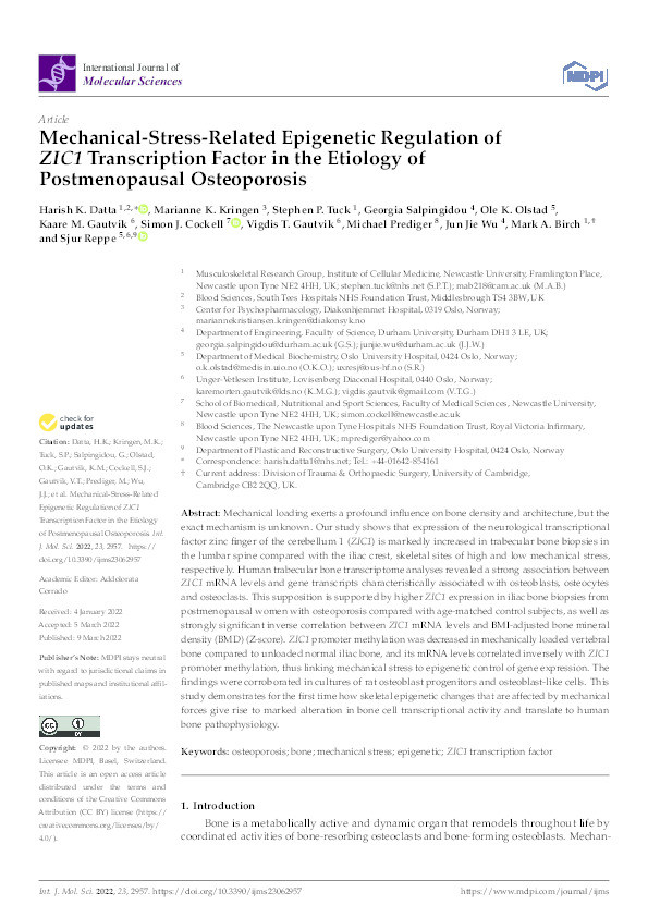 Mechanical-Stress-Related Epigenetic Regulation of ZIC1 Transcription Factor in the Etiology of Postmenopausal Osteoporosis Thumbnail