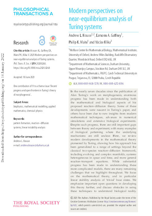 Modern perspectives on near-equilibrium analysis of Turing systems Thumbnail