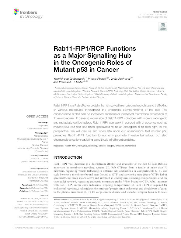 Rab11-FIP1/RCP functions as a major signalling hub in the oncogenic roles of mutant p53 in cancer Thumbnail