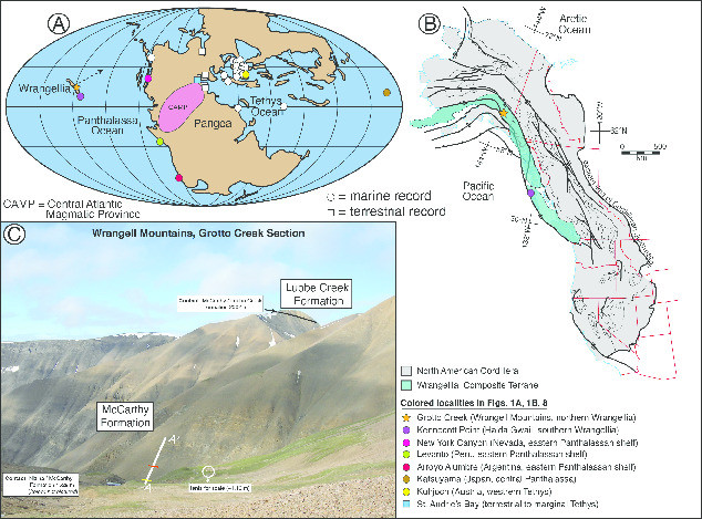 New evidence for a long Rhaetian from a Panthalassan succession (Wrangell Mountains, Alaska) and regional differences in carbon cycle perturbations at the Triassic-Jurassic transition Thumbnail