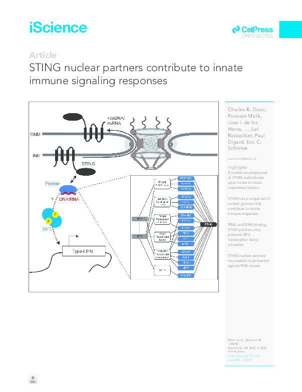STING nuclear partners contribute to innate immune signaling responses Thumbnail
