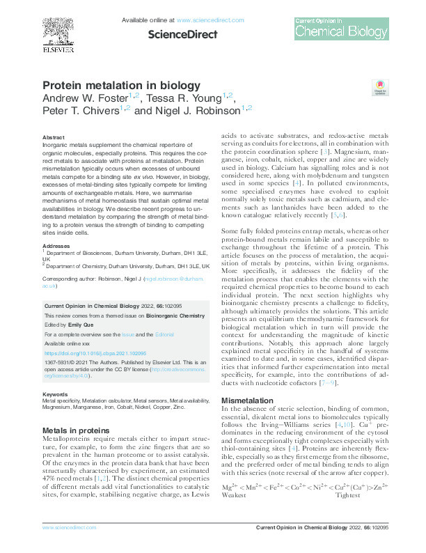 Protein metalation in biology Thumbnail