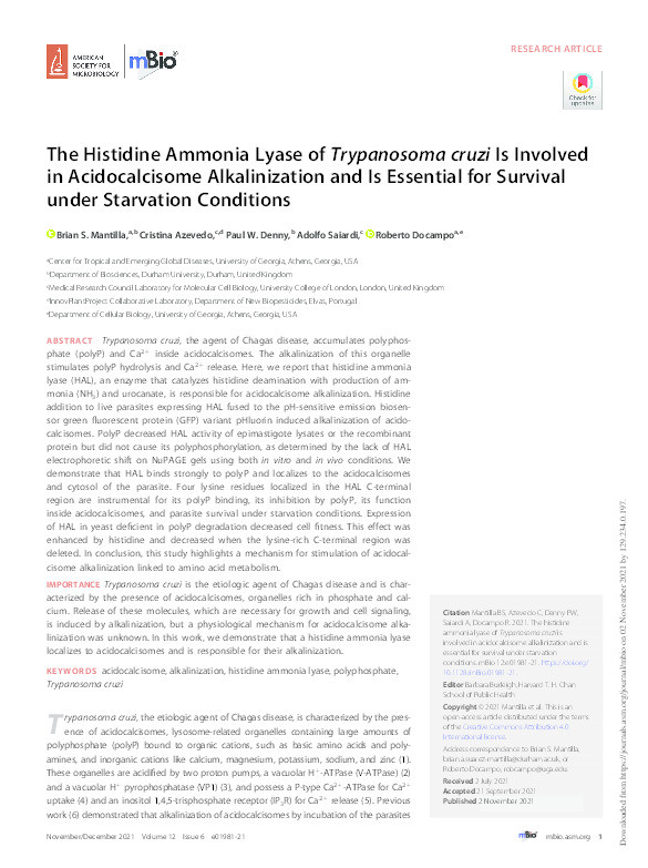 The Histidine Ammonia Lyase of Trypanosoma cruzi is Involved in Acidocalcisome Alkalinization and is Essential for Survival under Starvation Conditions Thumbnail