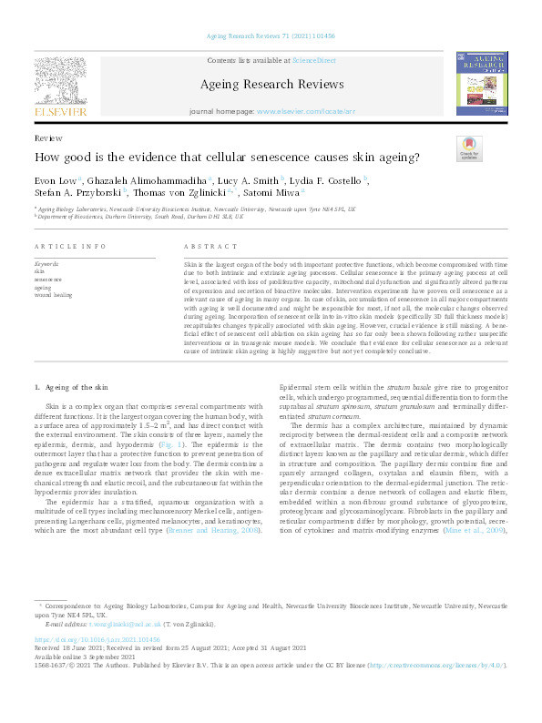 How good is the evidence that cellular senescence causes skin ageing? Thumbnail