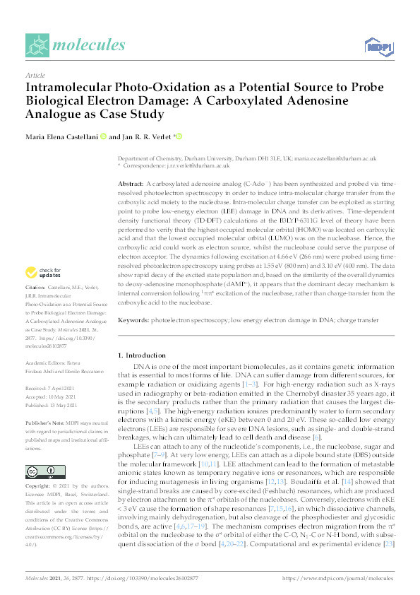 Intramolecular Photo-Oxidation as a Potential Source to Probe Biological Electron Damage: A Carboxylated Adenosine Analogue as Case Study Thumbnail
