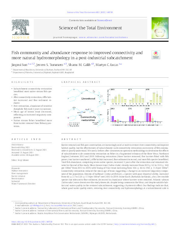 Fish community and abundance response to improved connectivity and more natural hydromorphology in a post-industrial subcatchment Thumbnail