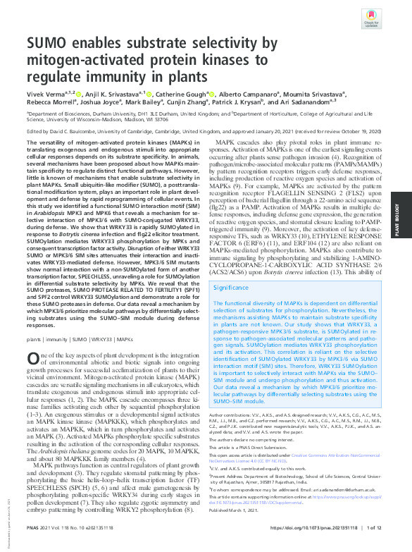 SUMO enables substrate selectivity by mitogen-activated protein kinases to regulate immunity in plants Thumbnail