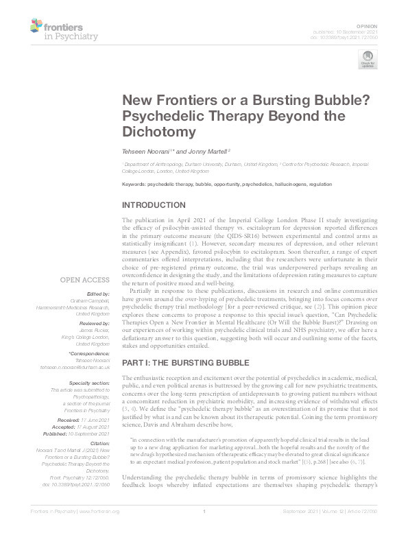 New Frontiers or a Bursting Bubble? Psychedelic Therapy Beyond the Dichotomy Thumbnail
