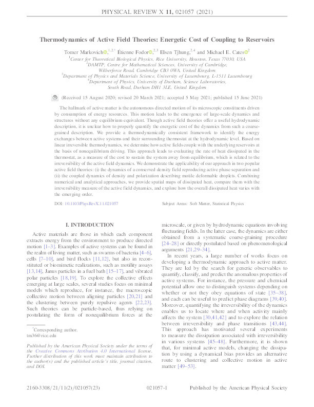 Thermodynamics of Active Field Theories: Energetic Cost of Coupling to Reservoirs Thumbnail