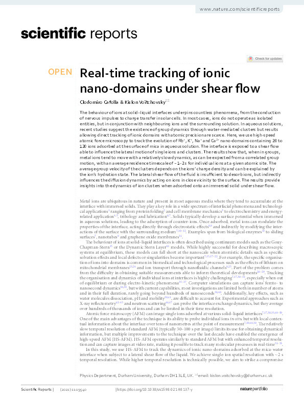Real-time tracking of ionic nano-domains under shear flow Thumbnail