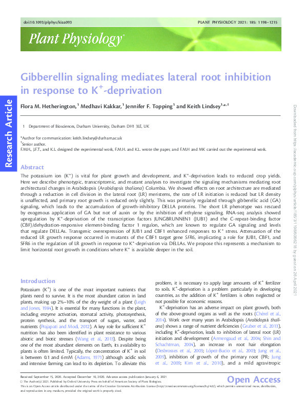 Gibberellin signaling mediates lateral root inhibition in response to K+-deprivation Thumbnail