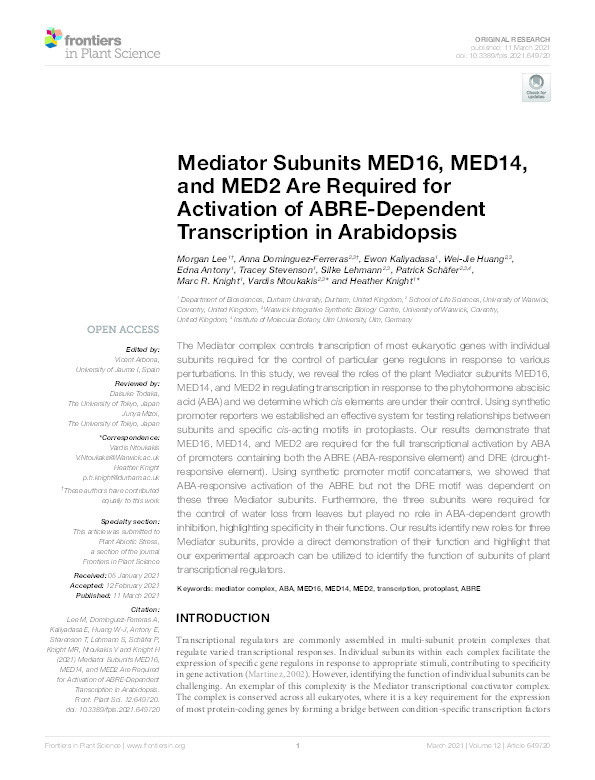 Mediator Subunits MED16, MED14, and MED2 Are Required for Activation of ABRE-Dependent Transcription in Arabidopsis Thumbnail