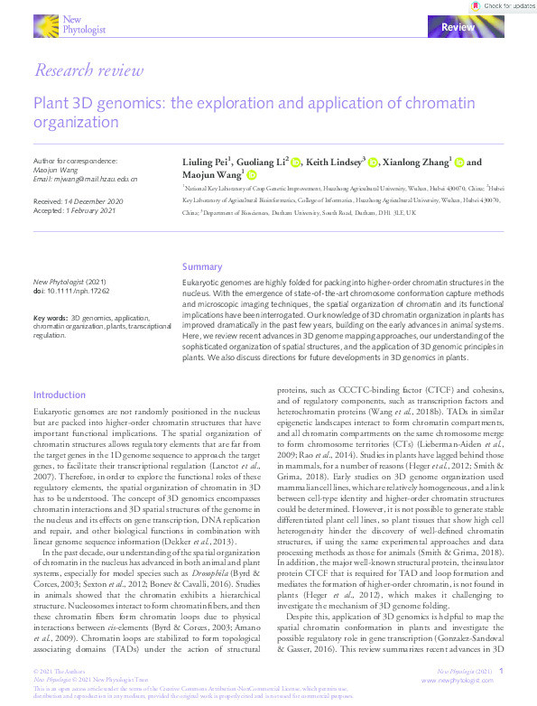 Plant 3D genomics: the exploration and application of chromatin organization Thumbnail