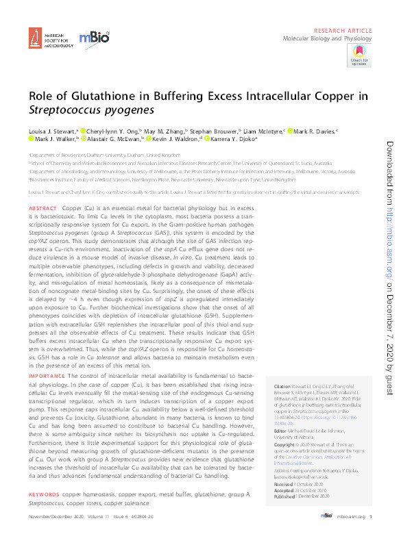 Role of Glutathione in Buffering Excess Intracellular Copper in Streptococcus pyogenes Thumbnail