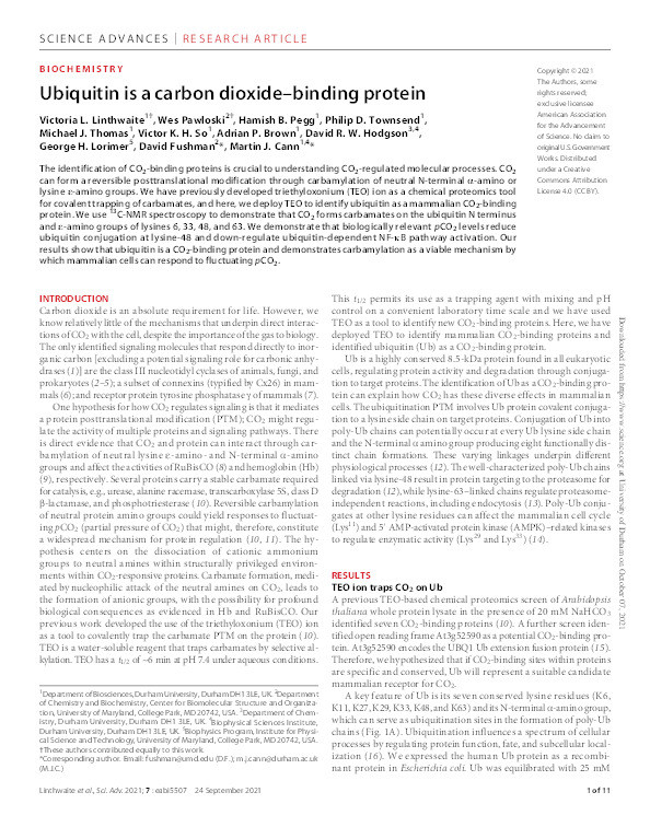 Ubiquitin is a carbon dioxide-binding protein Thumbnail