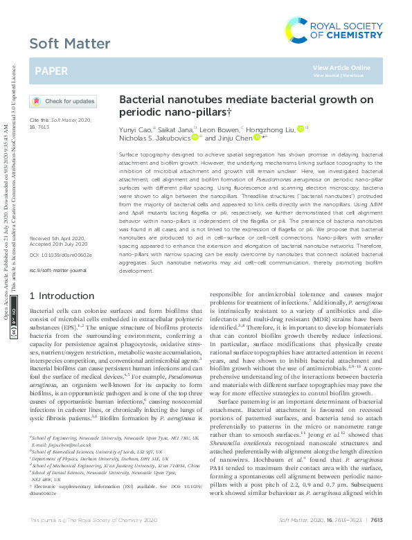 Bacterial nanotubes mediate bacterial growth on periodic nano-pillars Thumbnail