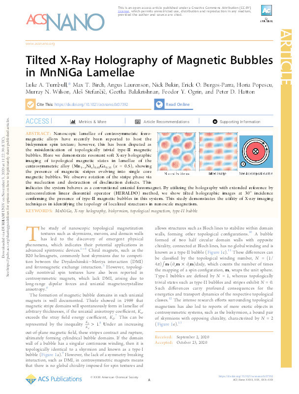 Tilted X-Ray Holography of Magnetic Bubbles in MnNiGa Lamellae Thumbnail