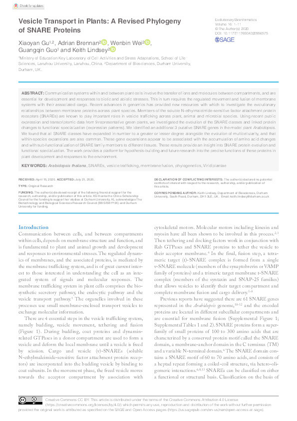 Vesicle transport in plants: A revised phylogeny of SNARE proteins Thumbnail