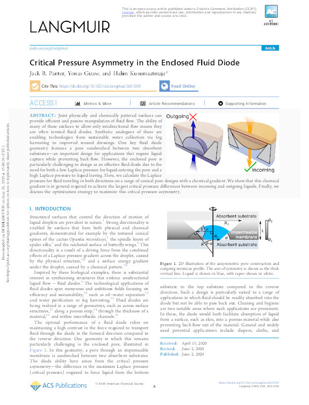 Critical pressure asymmetry in the enclosed fluid diode Thumbnail