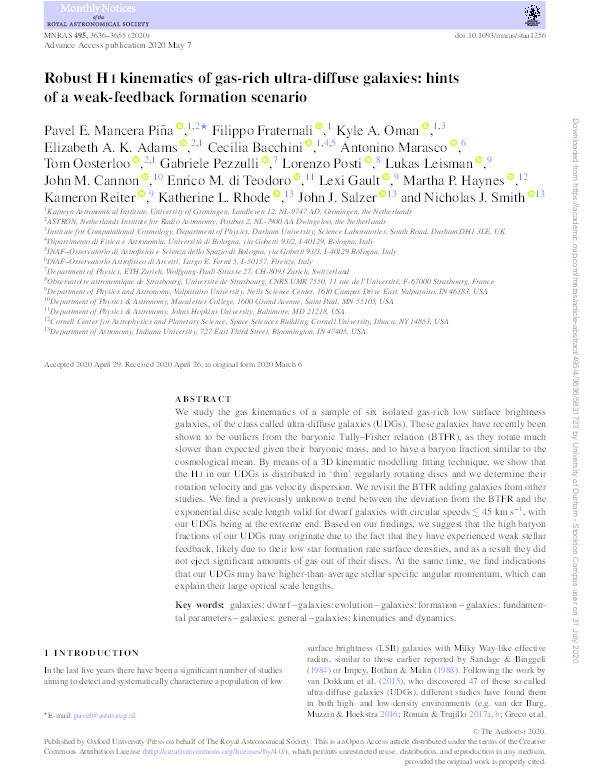 Robust H i kinematics of gas-rich ultra-diffuse galaxies: hints of a weak-feedback formation scenario Thumbnail