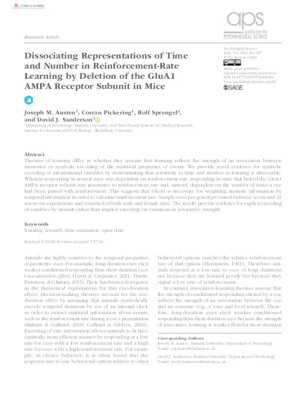 Dissociating representations of time and number in reinforcement rate learning by GluA1 AMPAR subunit deletion in mice Thumbnail