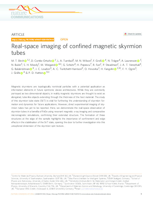 Real-space imaging of confined magnetic skyrmion tubes Thumbnail
