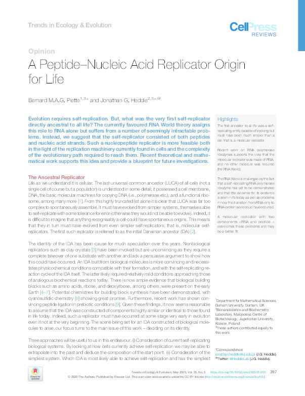A Peptide–Nucleic Acid Replicator Origin for Life Thumbnail